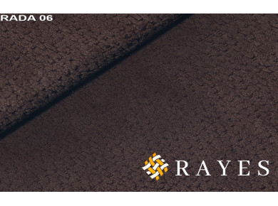 Рада 06