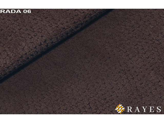 Рада 06