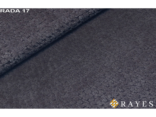 Рада 17