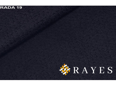 Рада 19